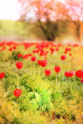 Similar image 7817181