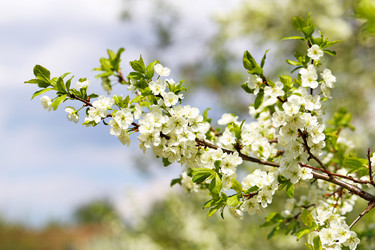 Similar image 7817185