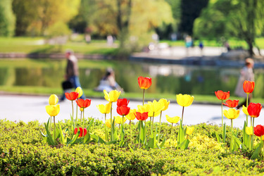 Similar image 7817186