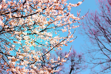 Similar image 7817213