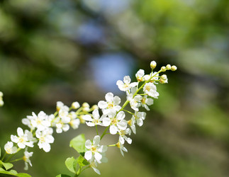 Similar image 7817217