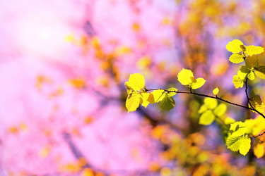 Similar image 7817223