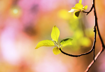 Similar image 7817225