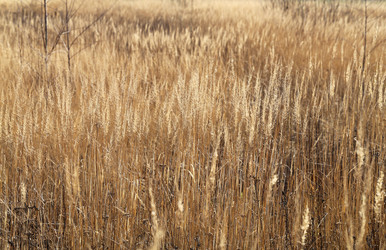 Similar image 7817228