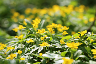 Similar image 7817229