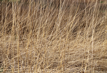 Similar image 7817232