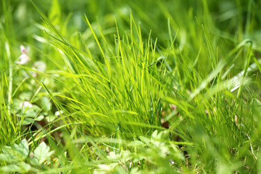 Similar image 7817235