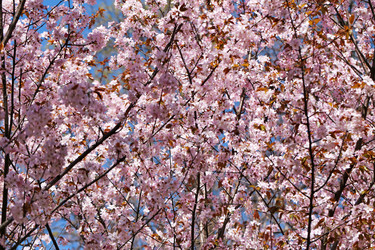 Similar image 7817240