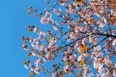 Similar image 7817241