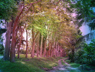 Similar image 7817310