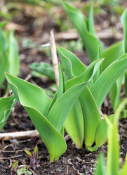 Similar image 7817315