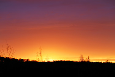 Similar image 7817321