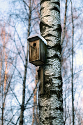 Similar image 7817327