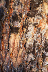 Similar image 7817330