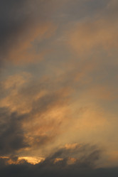 Similar image 7817333