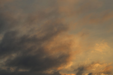 Similar image 7817335