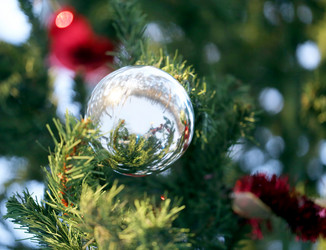 Similar image 7817343