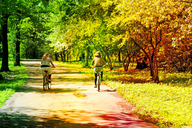 Similar image 7817348