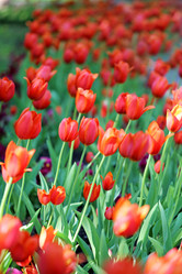 Similar image 7817351