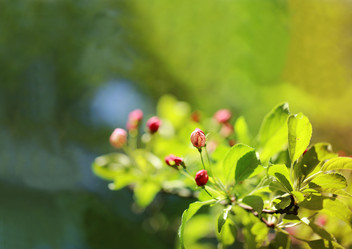 Similar image 7817353