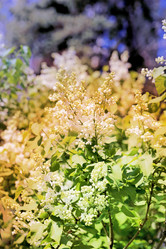 Similar image 7817354