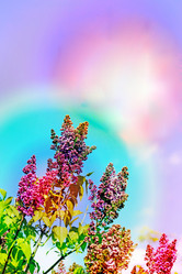 Similar image 7817381