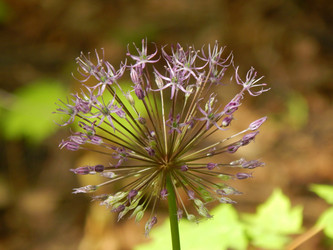 Similar image 7817420