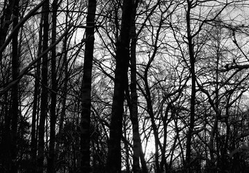 Similar image 7817444