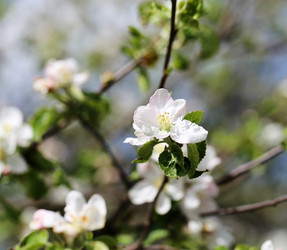 Similar image 7817449