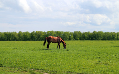 Similar image 7817457