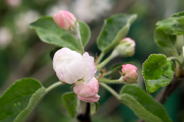 Similar image 7817495