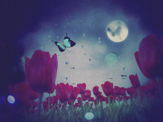 Similar image 7817496