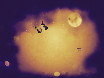 Similar image 7817498