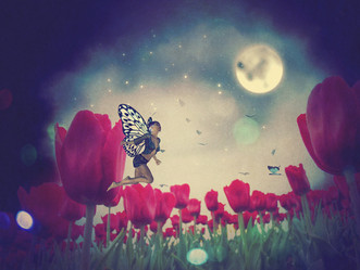 Similar image 7817505