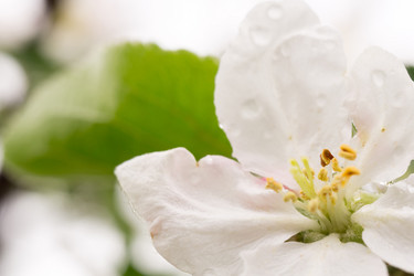 Similar image 7817508