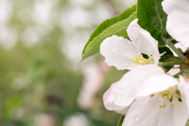 Similar image 7817509