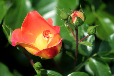 Similar image 7820488