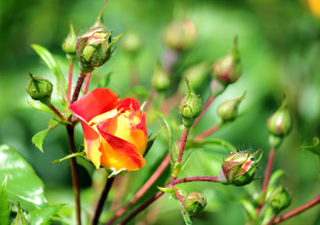 Similar image 7820490