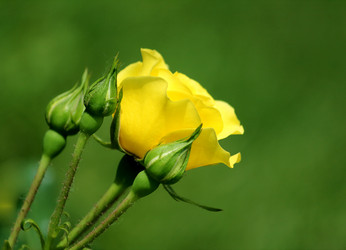 Similar image 7820492