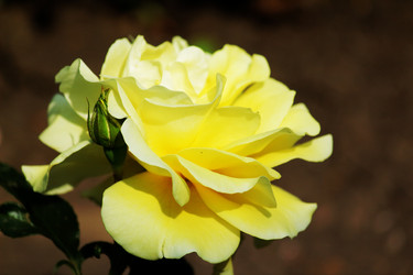 Similar image 7820493