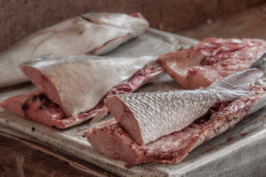 Similar image 7820563