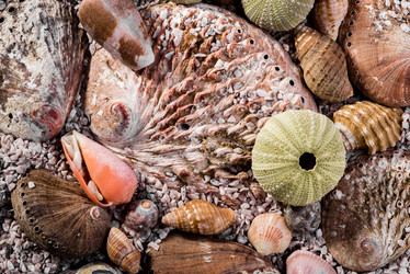 Similar image 7820567