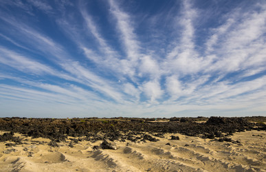 Similar image 7820614