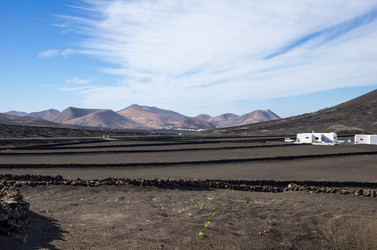 Similar image 7820620