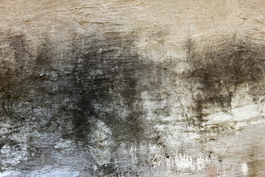 Similar image 7820639