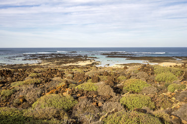 Similar image 7820646