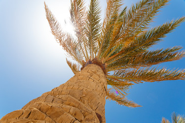 Similar image 7820715