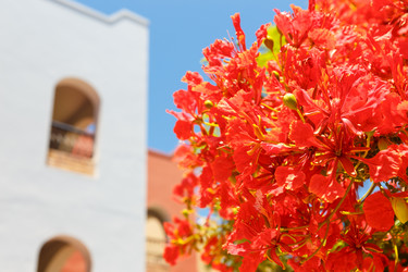 Similar image 7820722