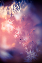 Similar image 7820827