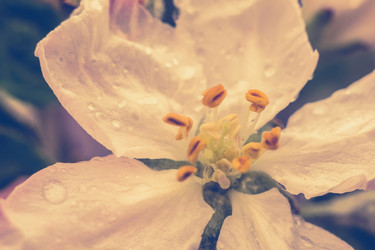 Similar image 7820838